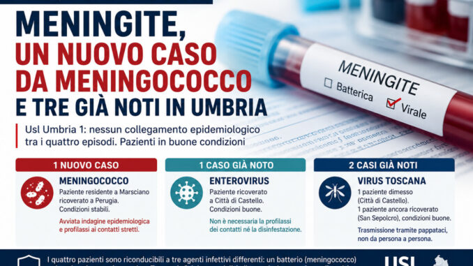 Meningite, un nuovo caso da meningococco e tre già noti in Umbria