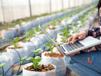 Innovazione agricola, sei milioni per le imprese dell'Umbria