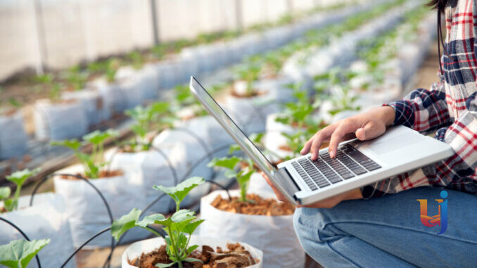 Innovazione agricola, sei milioni per le imprese dell'Umbria