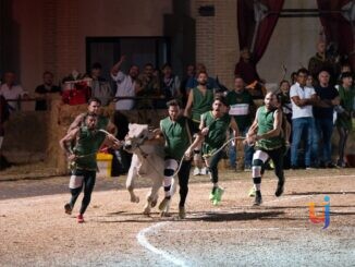 agosto montefalchese_fuga del bove