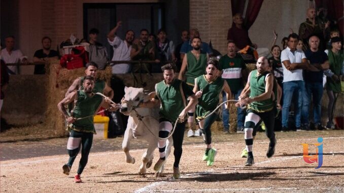 agosto montefalchese_fuga del bove