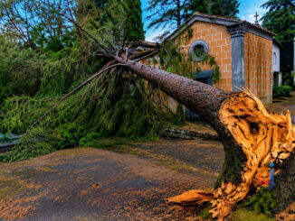 Forte nubifragio su Orvieto, alberi schiantati e strade allagate