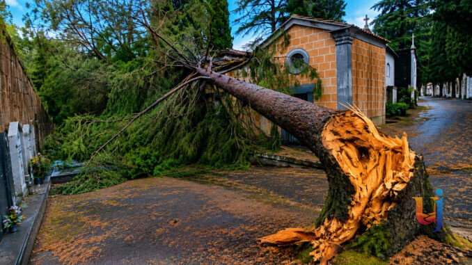 Forte nubifragio su Orvieto, alberi schiantati e strade allagate