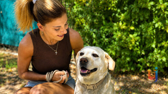Scoccia rilancia cure veterinarie gratuite per i più fragili