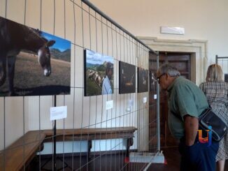 inaugurazione mostra trettechènno a norcia