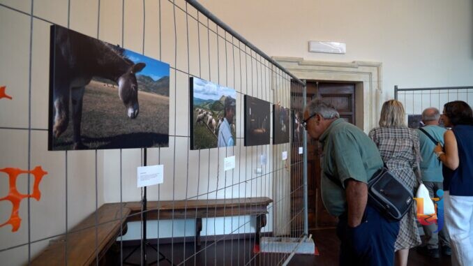 inaugurazione mostra trettechènno a norcia
