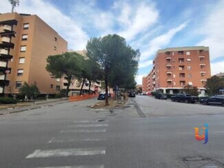 Madonna Alta, protesta ferma il cantiere dei pini: parte la petizione