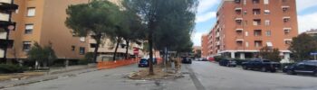 Madonna Alta, protesta ferma il cantiere dei pini: parte la petizione