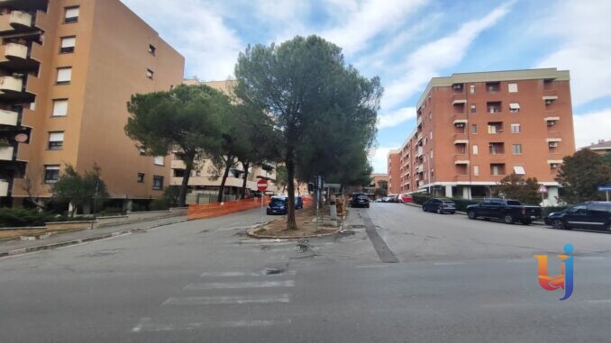 Madonna Alta, protesta ferma il cantiere dei pini: parte la petizione