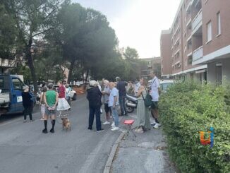 Madonna Alta, presidio Ginkgo Biloba contro il taglio dei 14 pini