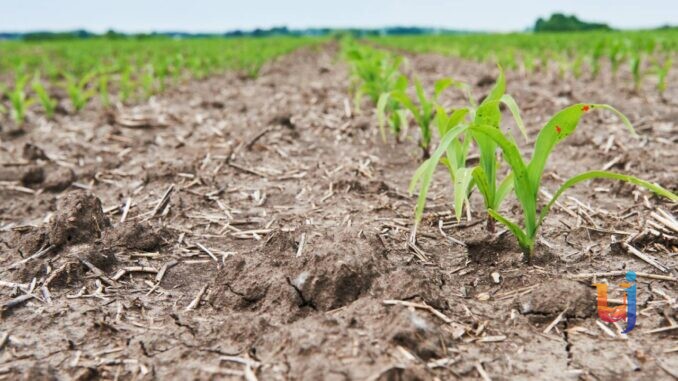 Siccità, maggiorazioni fino all’80% per il carburante agricolo