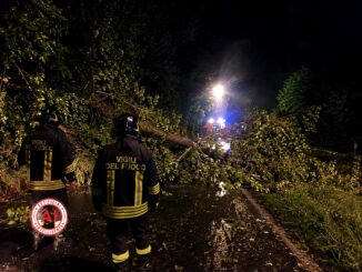 Maltempo a Fabro, alberi caduti e strade ora sotto controllo