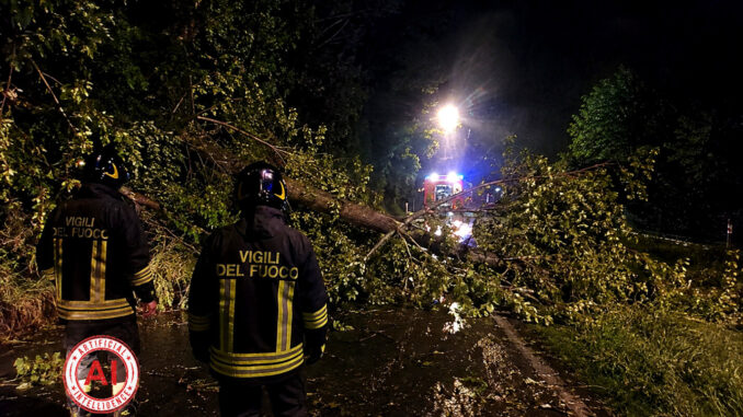 Maltempo a Fabro, alberi caduti e strade ora sotto controllo