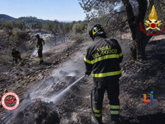 Rogo a Casalini di Panicale, squadre dei Vigili del Fuoco nella bonifica