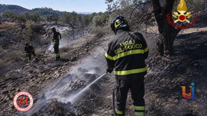 Rogo a Casalini di Panicale, squadre dei Vigili del Fuoco nella bonifica
