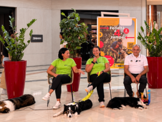 Cani allerta diabete, Collestrada devolve 500 euro alla AILD