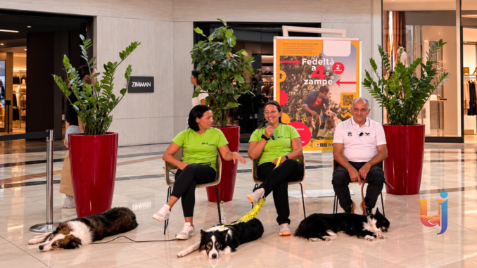 Cani allerta diabete, Collestrada devolve 500 euro alla AILD
