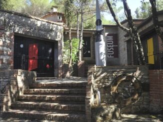 Fuseum visita guidata con Alessandra Migliorati nel parco museo