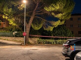 Pini di via Jacopone da Todi Perugia, diffida dopo un abbattimento