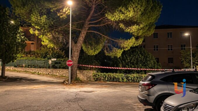 Pini di via Jacopone da Todi Perugia, diffida dopo un abbattimento
