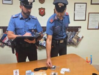 Cocaina nascosta tra i cespugli, arrestato un ragazzo 24enne
