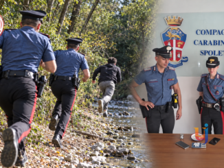 Giovane spacciatore fugge nel bosco e resiste ai Carabinieri