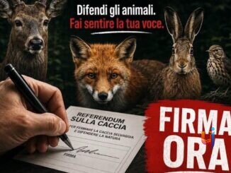 Referendum sulla caccia, sottoscrizioni fino al 30 settembre