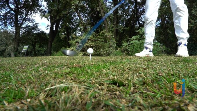 Flexor golf cup
