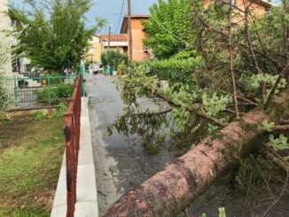 Nubifragio a Città di Castello auto sommersa. Alberi caduti sulle vie