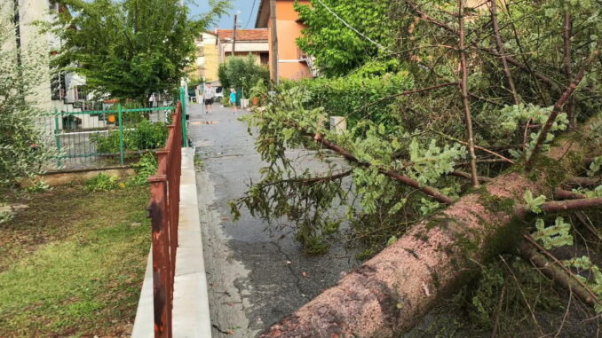 Nubifragio a Città di Castello auto sommersa. Alberi caduti sulle vie
