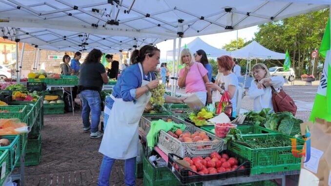 Nuovo mercato agricolo di Monteluce tra prodotti e socialità