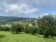 Parco di Montegrillo, via libera al piano di riqualificazione