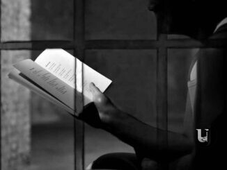 Poeti Liberi Liberi Poeti tra foto e poesia in mostra