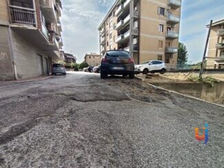 Pini abbattuti, Quartiere Pallotta APS smentisce le proteste