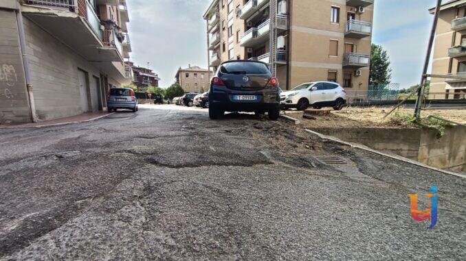 Pini abbattuti, Quartiere Pallotta APS smentisce le proteste
